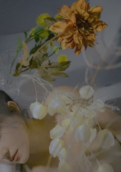 疯狂婬荡乱婬的少妇高H百度_1080P在线观看电视